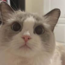 ♡